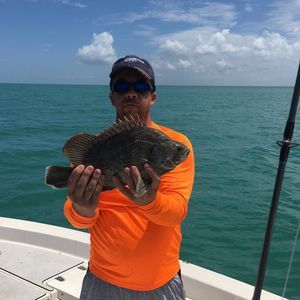 Meet your Posher, Robert charles